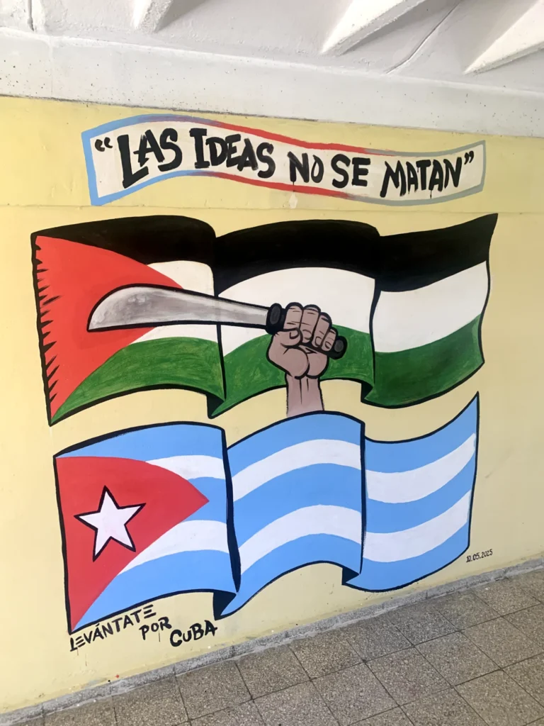 Las Ideas No Se Matan, mural by Caleb Wassell: a fist raising a machete over waving Palestinian and Cuban flags beneath the words Las ideas no se matan, with Levántate por Cuba below.
